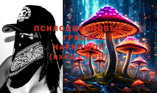 эйфоретик Иннополис