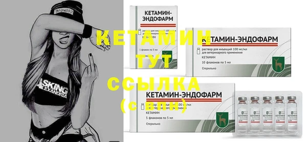 сатива Инта