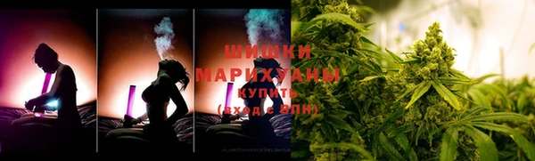 сатива Инта