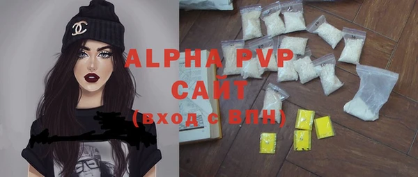 сатива Инта