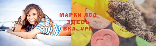 сатива Инта
