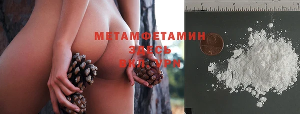 сатива Инта