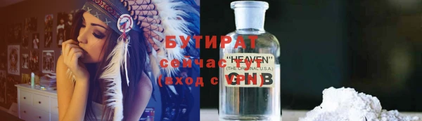 сатива Инта