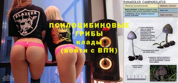 эйфоретик Иннополис