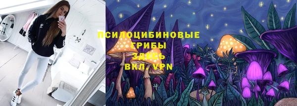 сатива Инта