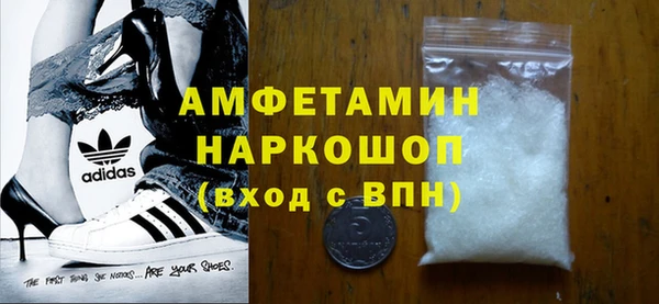 сатива Инта