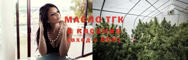 сатива Инта