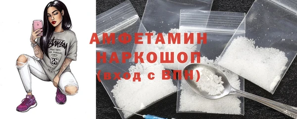сатива Инта