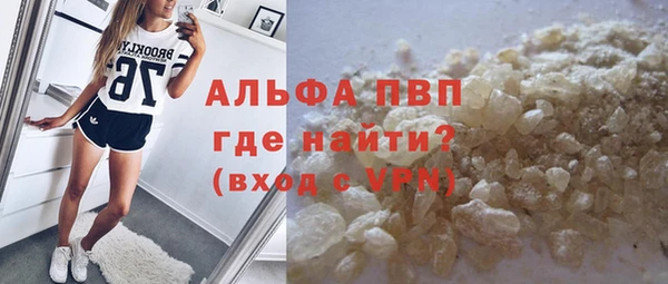 сатива Инта