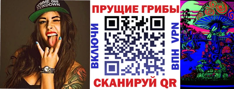 Купить закладки  Дивногорск  Псилоцибиновые грибы Cubensis 